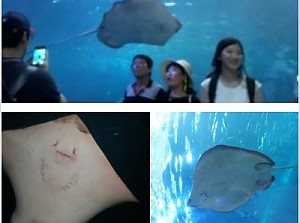 [광진오사랑의집 제주도힐링여행]